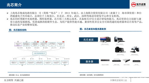 計算機(jī)行業(yè)深度研究報告 CPU生態(tài)價值與機(jī)遇研究——以重慶計算機(jī)軟硬件研發(fā)及銷售為例