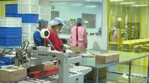 云夢經濟開發區 以完善服務體系為抓手，實現政企雙贏的信息系統運行維護新篇章